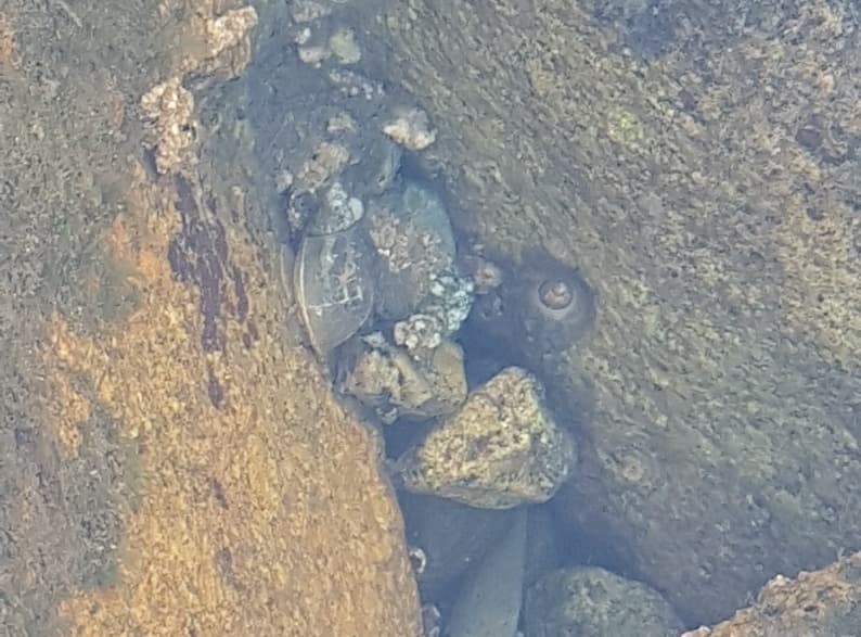 주변 환경 이미지 2