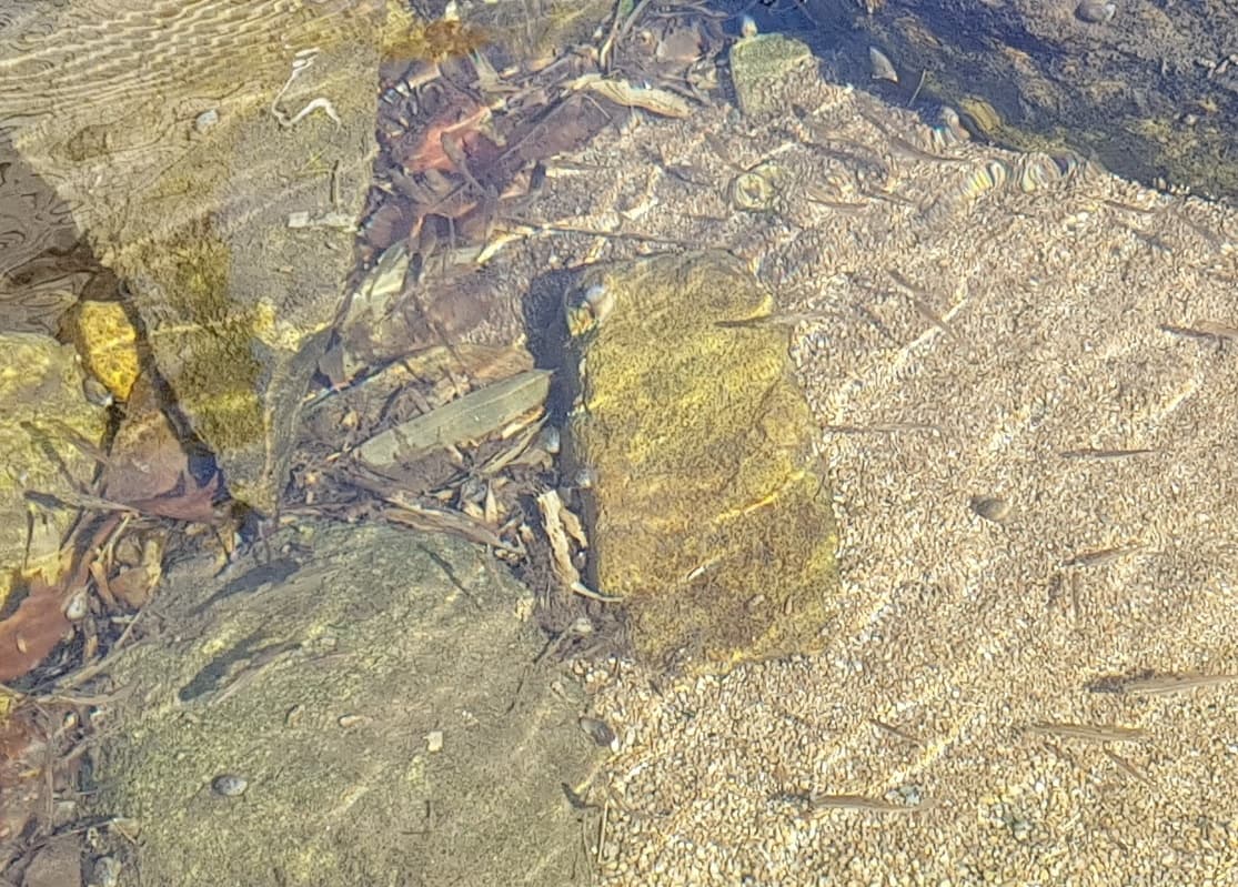 주변 환경 이미지 3