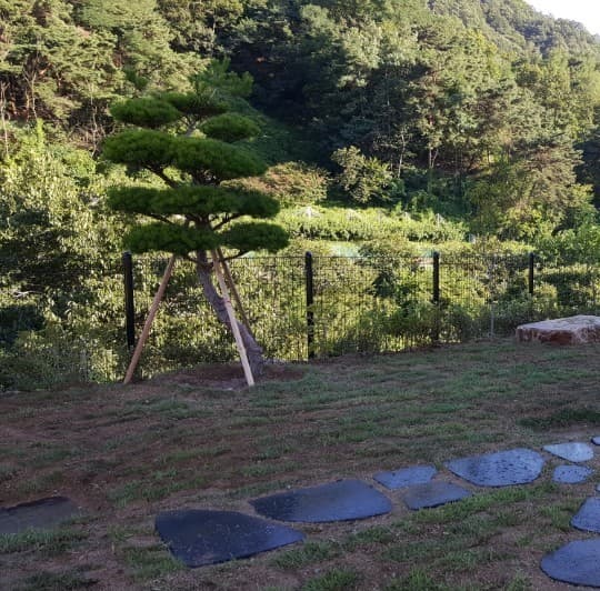 외부 전경 이미지 13