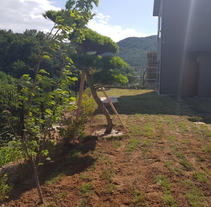 외부 전경 이미지 7